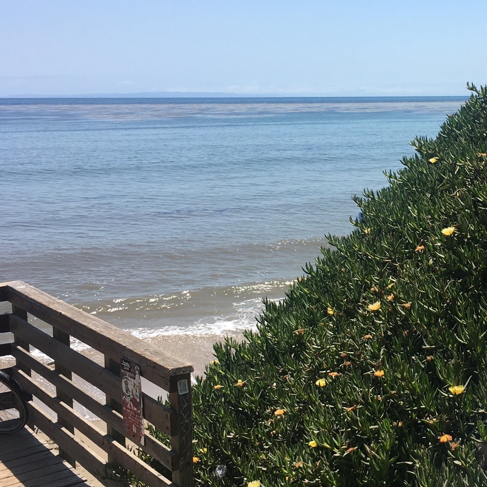 Meet your Posher, Eliana